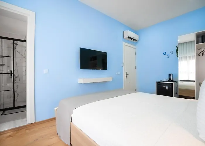 Old Town Dervish Daddy