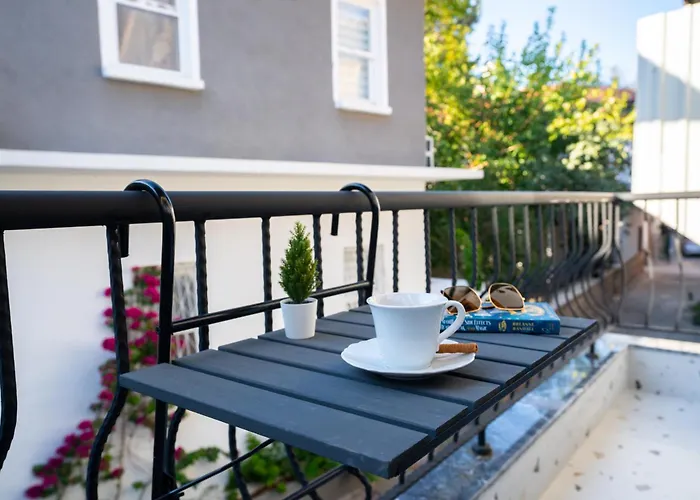 Old Town Dervish Daddy *