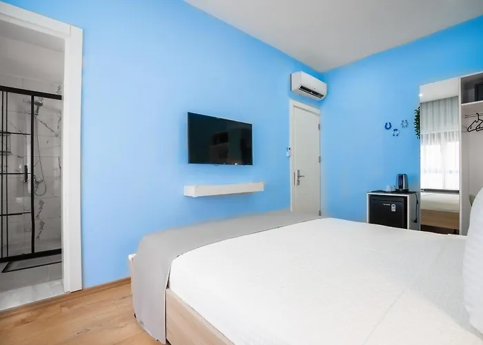 Old Town Dervish Daddy